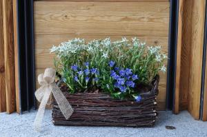 un cesto pieno di fiori blu e bianchi accanto a un muro di Chalet Prà delle Nasse a San Martino di Castrozza