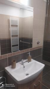 A bathroom at Štúdiá Správa TANAPu
