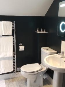 een badkamer met een wit toilet en een wastafel bij The Captains Quarters, Woolsery in Bideford