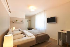 Schlafzimmer mit einem Bett und einem Flachbild-TV in der Unterkunft Gästehaus am Wasserschloss & Restaurant Wasserschloss Inzlingen in Inzlingen