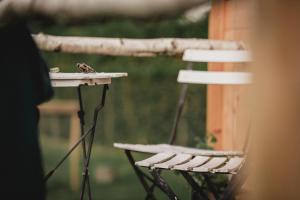 a bird sitting on a bird feeder next to a chair at Joly Tiny House in Overijse