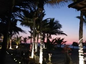 uma vista para uma praia com palmeiras à noite em La Posada De Los Tumpis em Bocapán