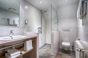 La salle de bains est pourvue d'un lavabo, de toilettes et d'une douche. dans l'établissement Hotel Zum Löwen - Unteres Wirtshaus, à Titisee-Neustadt