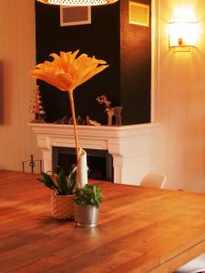 a wooden table with a flower in a pot on it at Villa bord de mer avec piscine et jacuzzi in Pénestin