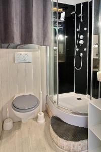 La salle de bains est pourvue d'une douche et de toilettes. dans l'établissement Studio les pied dans l eau !, à Canet