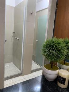 a bathroom with a shower and a toilet with a potted plant at Novum Suites in Córdoba