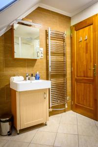 a bathroom with a sink and a shower with a mirror at Tulipán vendégház in Örvényes