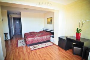 Gallery image of Pension Ambiance in Suceava