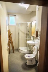 a bathroom with a shower and a toilet and a sink at FeelSTONE apartmani Brzeće in Brzeće