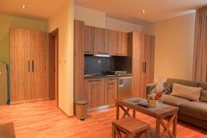 Η κουζίνα ή μικρή κουζίνα στο FeelSTONE apartmani Brzeće +15 φωτογραφίες