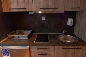 Η κουζίνα ή μικρή κουζίνα στο FeelSTONE apartmani Brzeće