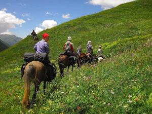a group of people riding horses down a hill at Tur Gotel Kosiv in Kosiv