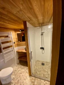 La salle de bains est pourvue d'une douche et de toilettes. dans l'établissement chalet la grange, à Tignes