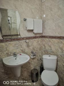 a bathroom with a toilet and a sink and a mirror at Ribkata Family Hotel in Smolyan +52 photos