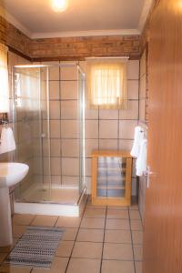 a bathroom with a shower and a sink at Stone Circle Cottage in Lydenburg