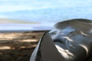 Fotografie z fotogalerie ubytování Eco Hotel Las Palmeras v destinaci Isla Grande