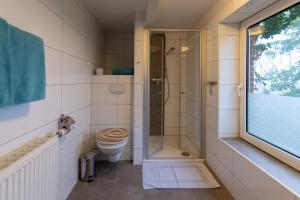a bathroom with a shower and a toilet at Alpaka- & Ferienhof Neukämper in Norden