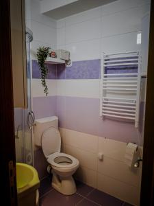 ein Badezimmer mit einem WC und einem grünen Waschbecken in der Unterkunft STAR apartman Brzece Kopaonik in Brzeće