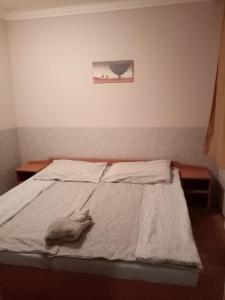 Posteľ alebo postele v izbe v ubytovaní Apartman Pávai-Silye