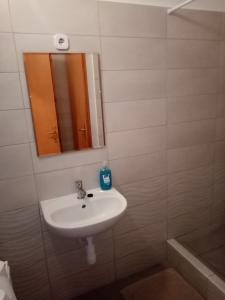 Kúpeľňa v ubytovaní Apartman Pávai-Silye