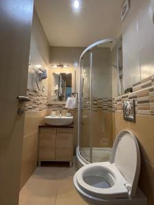 a bathroom with a toilet and a shower and a sink at Apartment Koko in Kopaonik