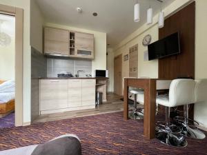 a hotel room with a desk and a kitchen at Apartment Koko in Kopaonik