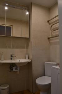 La salle de bains est pourvue de toilettes, d'un lavabo et d'un miroir. dans l'établissement Gallery, à Narva
