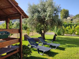 a group of chairs and a dog sitting in the grass at Casa das Bocelinhas in Arouca