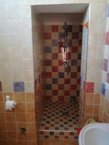 ein Bad mit einer gefliesten Dusche und einem WC in der Unterkunft B&B PompeiLog in Pompei