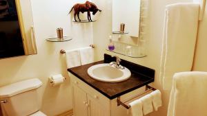 a bathroom with a sink and a horse statue on the wall at Kokomo INN Bed and Breakfast Ottawa-Gatineau's Only Tropical Riverfront B&B on the National Capital Cycling Pathway Route Verte #1 - for Adults Only - Chambre d'hôtes tropical aux berges des Outaouais BnB #17542O in Ottawa