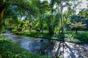 Gallery image of Pousada Colher de Chá - chalés in Visconde De Maua