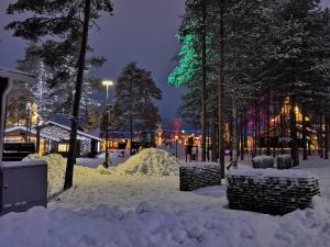 RELAX, Heart of Lapland, near the Tornio river talvel