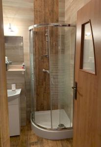カルパチにあるApartament Classicoのバスルーム(ガラスドア付きのシャワー付)