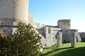 un castillo con un árbol delante de él en Dimora Sole Raggiante en Venosa