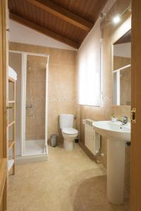La salle de bains est pourvue de toilettes, d'un lavabo et d'une douche. dans l'établissement Casa turística Me quedo en el pueblo, à Muñana