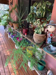 Thistle Do Bed and Breakfast外面的花园