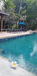 a swimming pool with a white flower in the water at Cocoville Phuket - SHA Plus in Chalong 