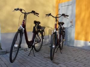 Radfahren an der Unterkunft Schusters Haus oder in der Nähe