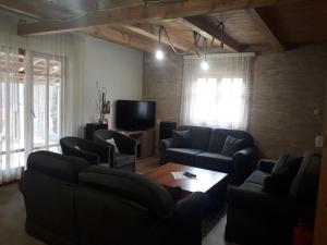 ein Wohnzimmer mit 2 Sofas und einem TV in der Unterkunft Stara Planina Stankovic in Crni Vrh