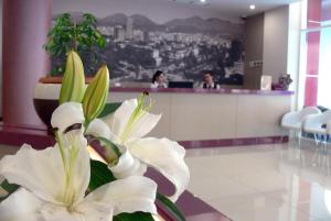 Vstupní hala nebo recepce v ubytování Sky 2 Hotel Tirana