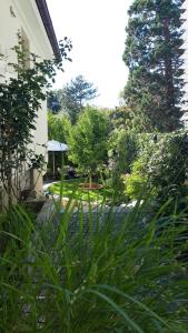 a garden with tall green plants next to a house at Boutique Apartments Freiburg - Elisabeth in Freiburg im Breisgau