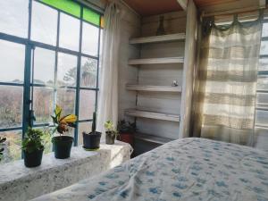 a bedroom with a bed and potted plants on windows at Casa Iris in La Pedrera