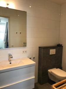a bathroom with a sink and a toilet and a mirror at Hendrikhof Appartement 3 ‘het Gebint’ in Westkapelle +27 photos