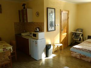 eine Küche mit einem kleinen Kühlschrank in einem Zimmer in der Unterkunft Chatky a apartmány Pod starým orechom - camp in Veľký Meder