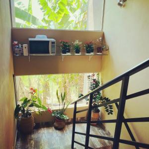 a balcony with potted plants and a window with a microwave at Residencial da Cris in Florianópolis