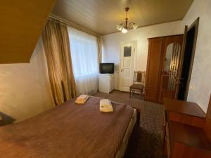a hotel room with a bed and a television at Maria in Solochyn