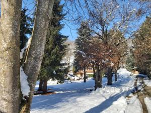 B&B Pension Karlsdorfer Hof v zime