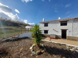 ein weißes Haus mit einer Palme davor in der Unterkunft Luby Cortijo Las Eras in Lubrín