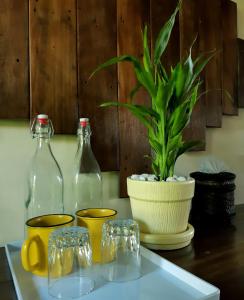 a table topped with glass bottles and a potted plant at Sukjai Homestay in Chiang Mai