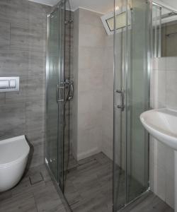 a bathroom with a shower and a toilet and a sink at Aretousa in Sougia